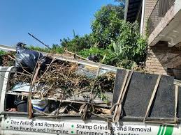 Best Residential Junk Removal  in Allardt, TN