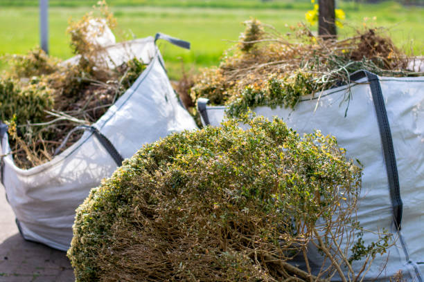 Best Yard Waste Removal  in Allardt, TN