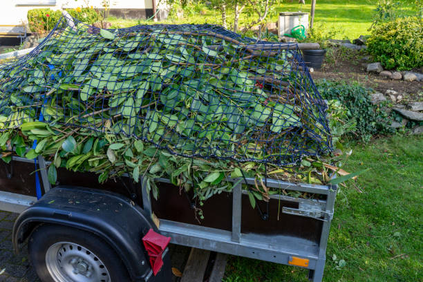 Best Hoarding Cleanup  in Allardt, TN